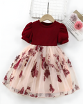 Girls Butterfly Fit & Flare Dress — Multicolor Carved Detail | Whimsical Party Dress for Girls 4–5 Years
